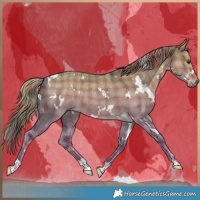 Horse Color:Watercolor Plaid  White Spotted Liver Red Dun Rabicano 