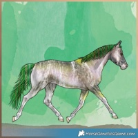 Horse Color:Painted Liver Red Onyx Ice 