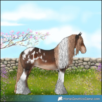 Horse Color:Liver Chestnut Tobiano Blanket 