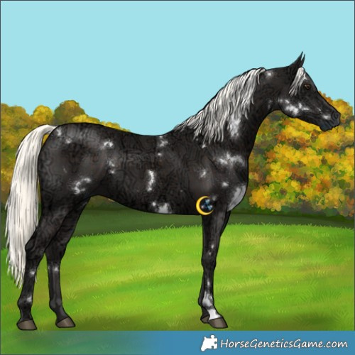 Horse Color:White Spotted Liver Chestnut Ice Mushroom 