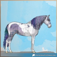 Horse Color:Watercolor Plaid Liver Red Onyx Ice Tobiano Brindle