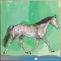 Horse Color:Watercolor Plaid White Spotted Liver Red Dun Ice Onyx Tobiano Brindle