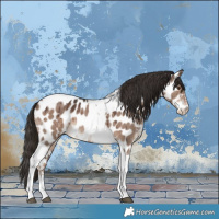 Horse Color:Liver Red Dun Sabino Tobiano Near Leopard Brindle 