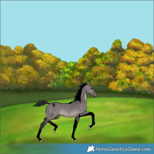 Horse Color:Void Platinum Brown Dun Tobiano 