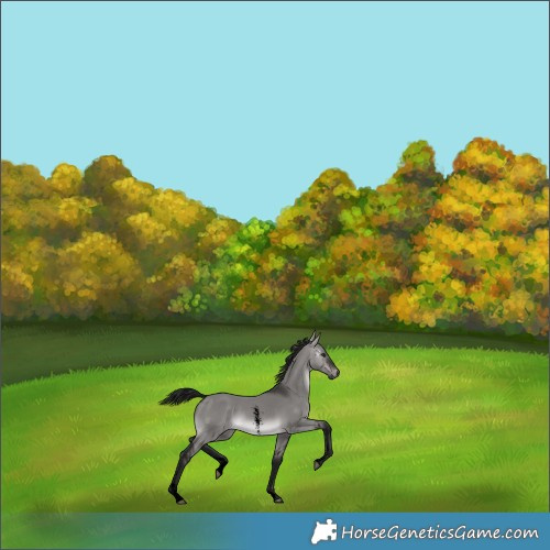Horse Color:Gray Void Platinum Brown Dun Sabino 