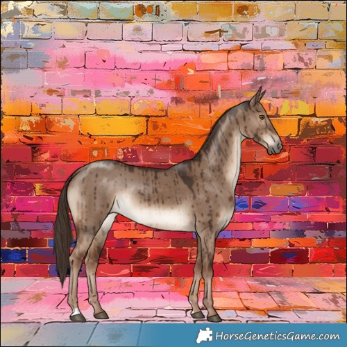 Horse Color:Liver Red Dun Rabicano Brindle