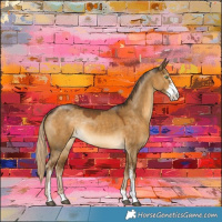 Horse Color:Chocolate Palomino Dun Sabino Rabicano