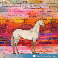 Horse Color:Chocolate Palomino Roan Dun Rabicano 