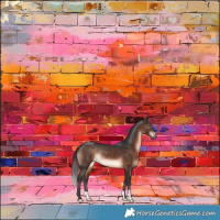 Horse Color:Brown Rabicano 