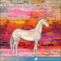 Horse Color:Perlino Sabino Tobiano 