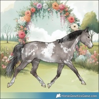 Horse Color:Platinum White Spotted Liver Red Dun