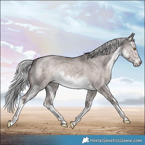 Horse Color:Platinum White Spotted Chocolate Palomino Dun