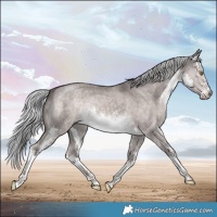 Horse Color:Platinum White Spotted Chocolate Palomino Dun 