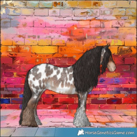 Horse Color:Liver Red Roan Sabino Appaloosa