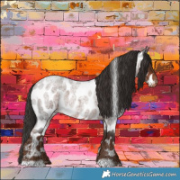 Horse Color:Liver Red Roan Appaloosa 
