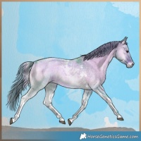 Horse Color:Watercolor Liver Red Dun Roan Onyx Tobiano Rabicano 