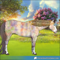 Horse Color:Nacre Buckskin Ice Dun Splash 