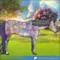 Horse Color:Nacre Bay Ice Dun 