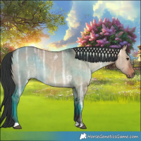 Horse Color:Bay Ice Dun 