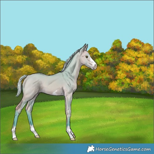 Horse Color:Watercolor Silver Buckskin Dun 