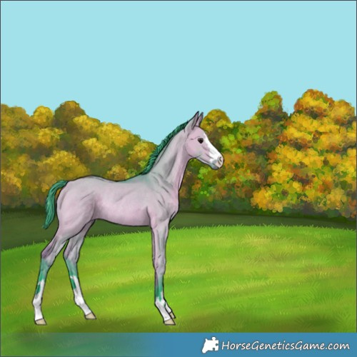 Horse Color:Watercolor Bay Dun Rabicano 