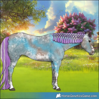 Horse Color:Painted Silver Black Ice 