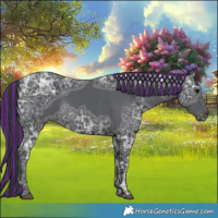 Horse Color:Painted Black Ice 