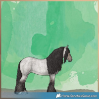 Horse Color:Smoky Grullo Roan 