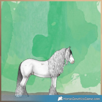 Horse Color:Grullo Tobiano Frame Leopard Brindle