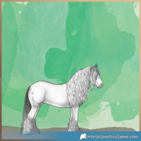 Horse Color:Smoky Black Tobiano Frame 