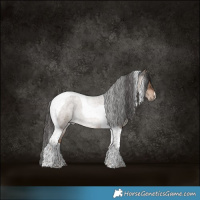 Horse Color:Liver Red Dun Roan Tobiano Brindle