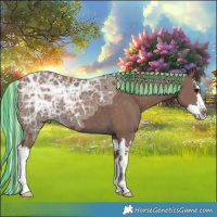 Horse Color:Painted Silver Black Ice Splash 