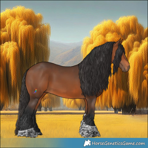 Horse Color:Bay Tobiano 