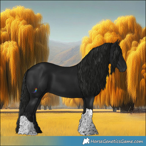 Horse Color:Gray Black Tobiano 