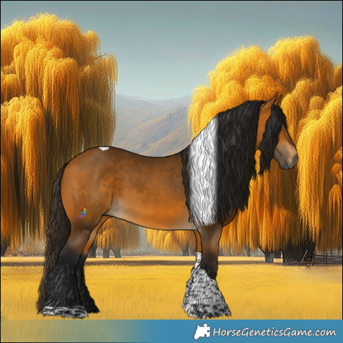 Horse Color:Gray Buckskin Tobiano 