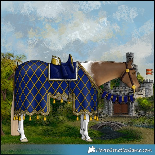 Horse Color:Chocolate Palomino Tobiano 