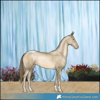 Horse Color:Smoky Black Pearl Rabicano 