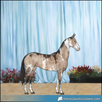 Horse Color:Liver Red Dun Sabino Brindle 