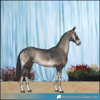 Horse Color:Blue Onyx Rabicano
