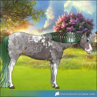 Horse Color:Painted Liver Chestnut Ice Splash Tobiano 