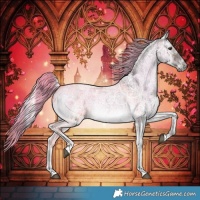 Horse Color:Plaid  White Spotted Chocolate Palomino Ice Roan Onyx Brindle 