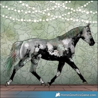 Horse Color:Void Watercolor Plaid  White Spotted Liver Red Dun Ice Onyx Sabino 