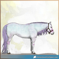 Horse Color:Watercolor Plaid  White Spotted Liver Red Dun Ice Roan Onyx Brindle 