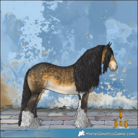 Horse Color:Buckskin Tobiano
