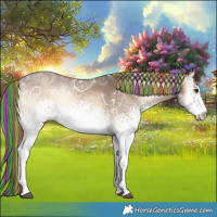 Horse Color:Painted White Spotted Liver Red Dun Ice Onyx 