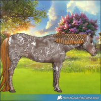 Horse Color:Painted White Spotted Liver Chestnut Ice 