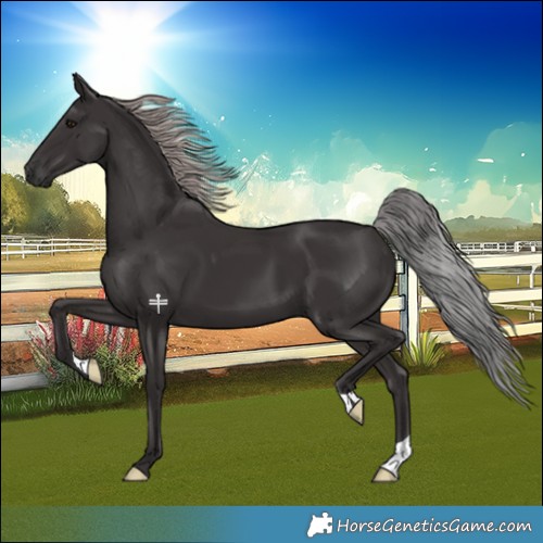 Horse Color:Platinum Liver Chestnut 