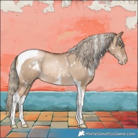 Horse Color:White Spotted Liver Red Dun Pearl Tobiano 