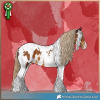 Horse Color:Chocolate Palomino Tobiano Near Leopard 