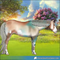 Horse Color:Painted Gold Champagne Onyx Frame 